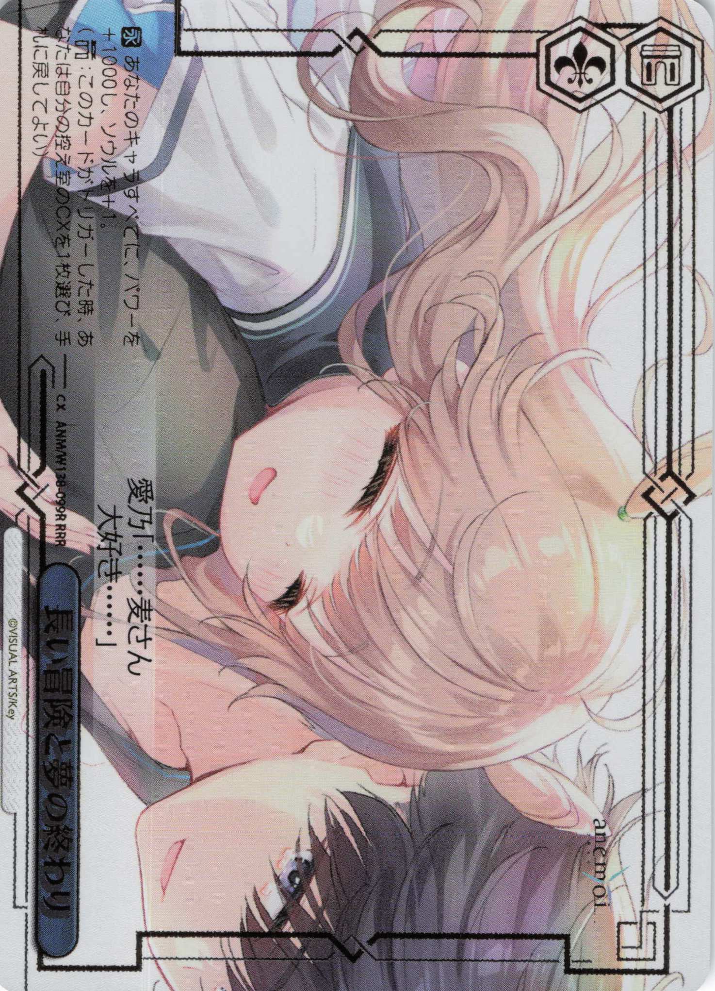 長い冒険と夢の終わり(RRR)(ANM/W138-099R)